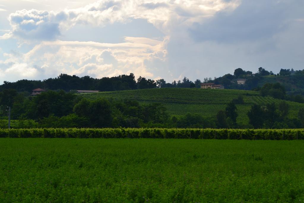 Bed And Breakfast Villa Novella Crocetta del Montello 외부 사진